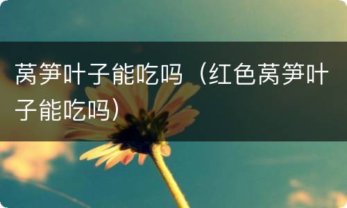 莴笋叶子能吃吗（红色莴笋叶子能吃吗）