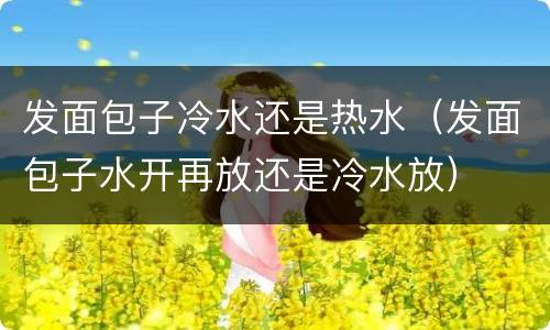 发面包子冷水还是热水（发面包子水开再放还是冷水放）