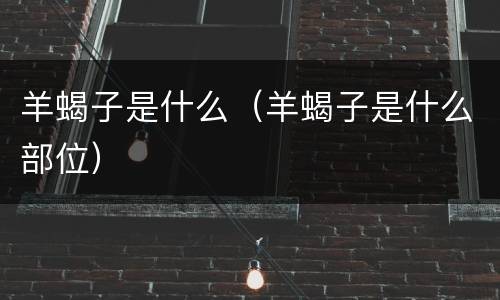 羊蝎子是什么（羊蝎子是什么部位）