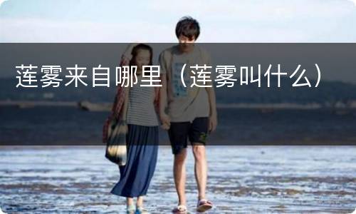 莲雾来自哪里（莲雾叫什么）