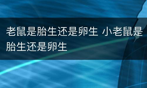 老鼠是胎生还是卵生 小老鼠是胎生还是卵生
