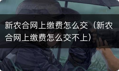 新农合网上缴费怎么交（新农合网上缴费怎么交不上）