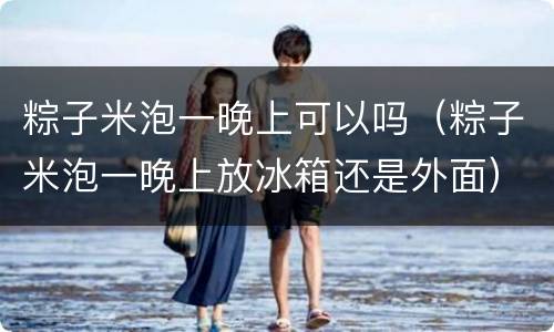 粽子米泡一晚上可以吗（粽子米泡一晚上放冰箱还是外面）