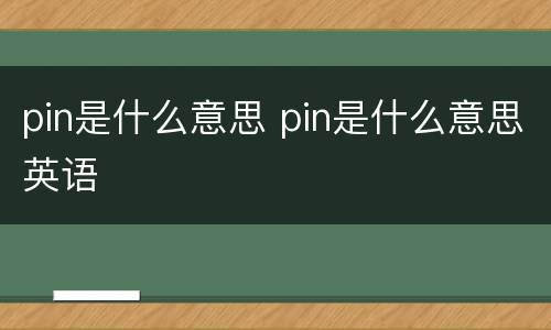 pin是什么意思 pin是什么意思英语