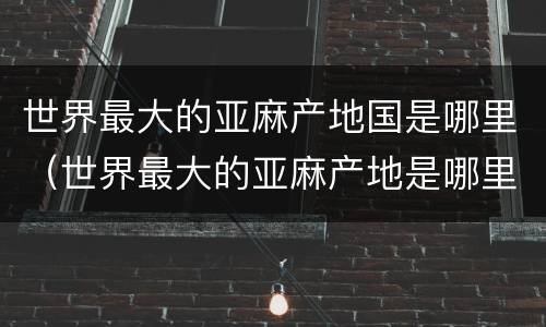 世界最大的亚麻产地国是哪里（世界最大的亚麻产地是哪里?）