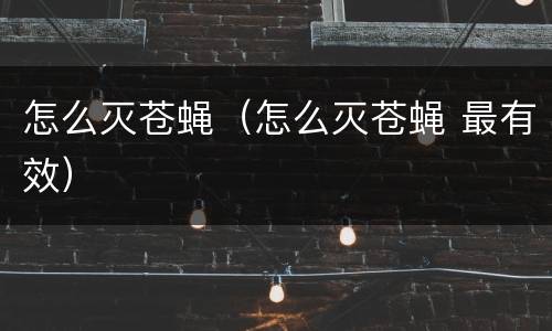 怎么灭苍蝇（怎么灭苍蝇 最有效）