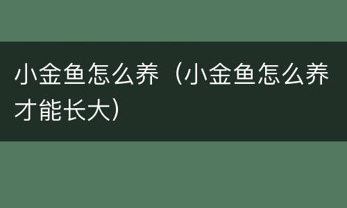 小金鱼怎么养（小金鱼怎么养才能长大）