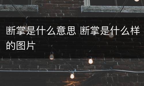 断掌是什么意思 断掌是什么样的图片