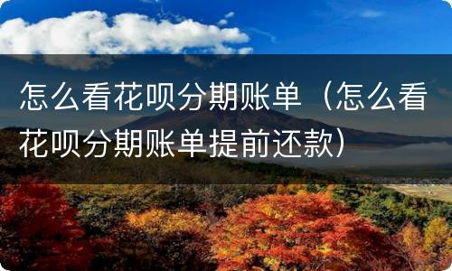 怎么看花呗分期账单（怎么看花呗分期账单提前还款）