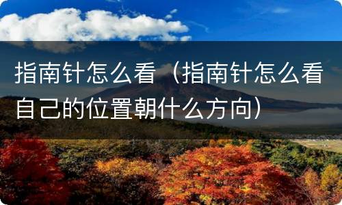 指南针怎么看（指南针怎么看自己的位置朝什么方向）