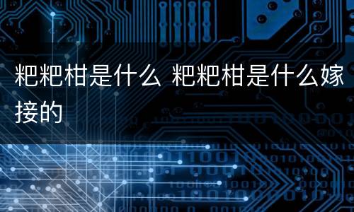 粑粑柑是什么 粑粑柑是什么嫁接的