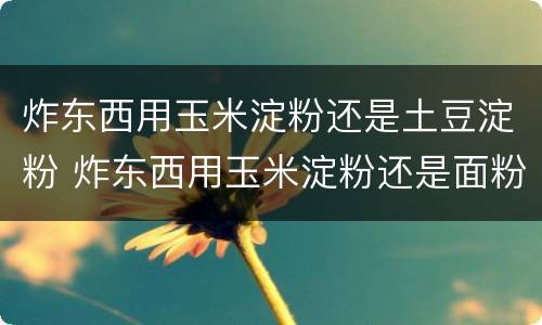 炸东西用玉米淀粉还是土豆淀粉 炸东西用玉米淀粉还是面粉
