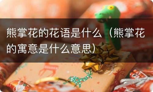 熊掌花的花语是什么（熊掌花的寓意是什么意思）