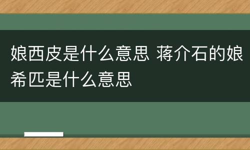 娘西皮是什么意思 蒋介石的娘希匹是什么意思