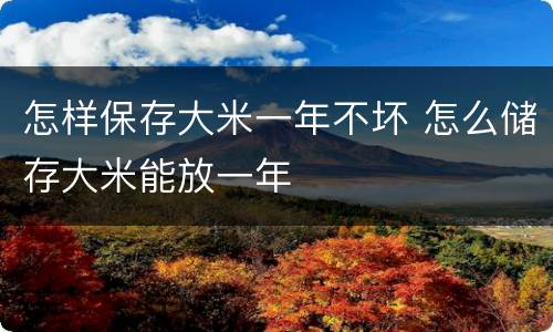 怎样保存大米一年不坏 怎么储存大米能放一年