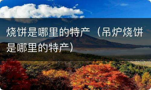 烧饼是哪里的特产（吊炉烧饼是哪里的特产）