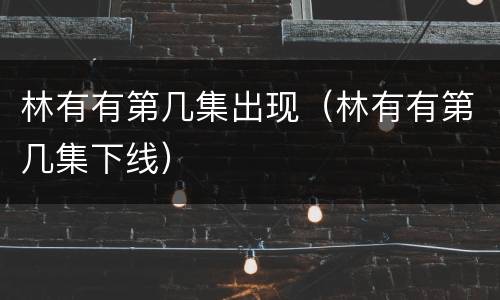 林有有第几集出现（林有有第几集下线）