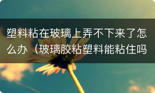 塑料粘在玻璃上弄不下来了怎么办（玻璃胶粘塑料能粘住吗）
