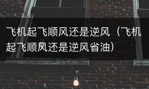 飞机起飞顺风还是逆风（飞机起飞顺风还是逆风省油）