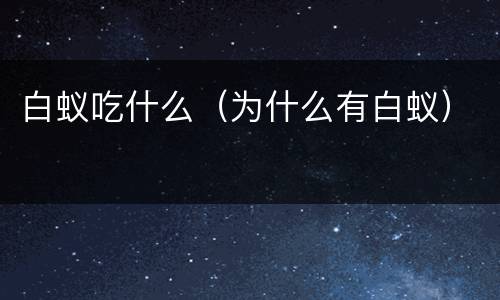 白蚁吃什么（为什么有白蚁）