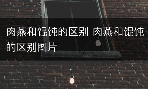 肉燕和馄饨的区别 肉燕和馄饨的区别图片