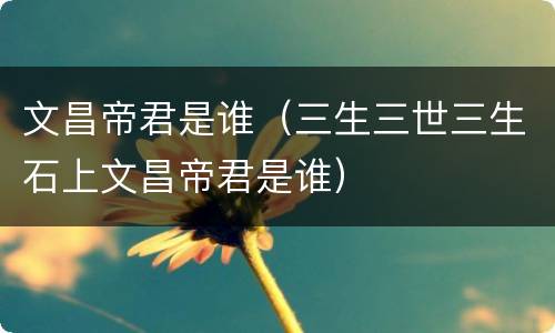 文昌帝君是谁（三生三世三生石上文昌帝君是谁）