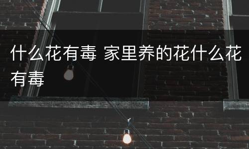 什么花有毒 家里养的花什么花有毒