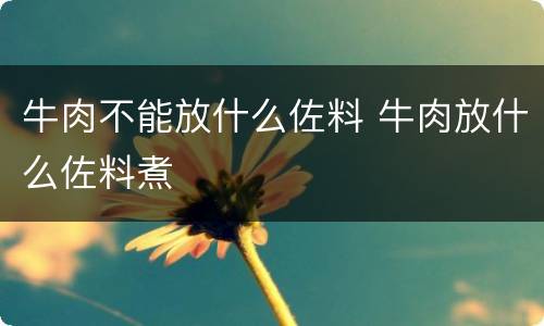 牛肉不能放什么佐料 牛肉放什么佐料煮