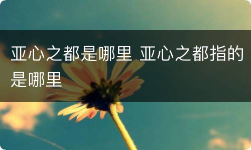 亚心之都是哪里 亚心之都指的是哪里