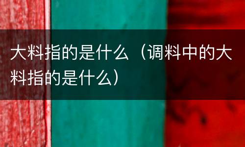 大料指的是什么（调料中的大料指的是什么）