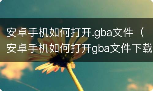 安卓手机如何打开.gba文件（安卓手机如何打开gba文件下载）