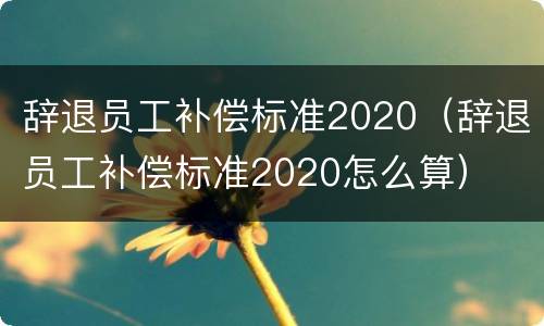 辞退员工补偿标准2020（辞退员工补偿标准2020怎么算）