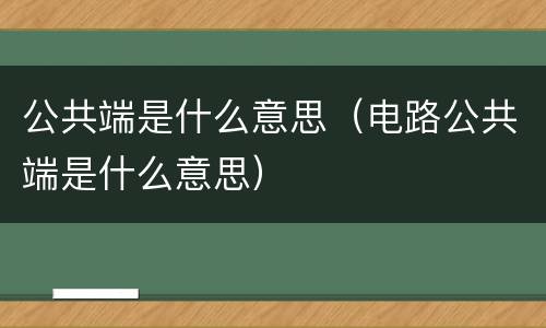 公共端是什么意思（电路公共端是什么意思）