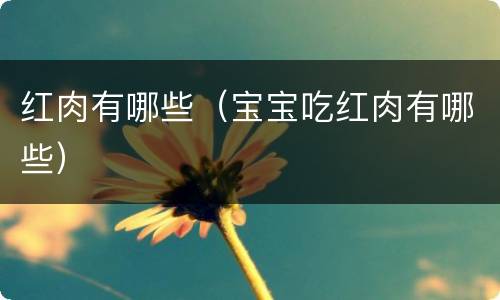 红肉有哪些（宝宝吃红肉有哪些）