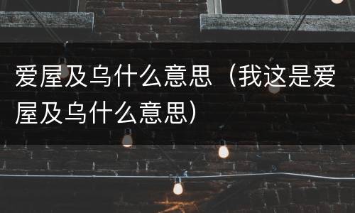 爱屋及乌什么意思（我这是爱屋及乌什么意思）