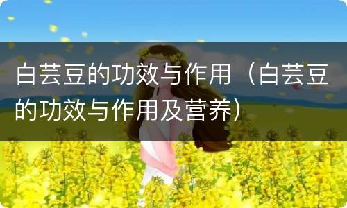 白芸豆的功效与作用（白芸豆的功效与作用及营养）