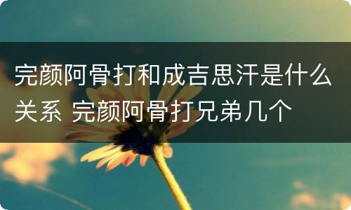 完颜阿骨打和成吉思汗是什么关系 完颜阿骨打兄弟几个