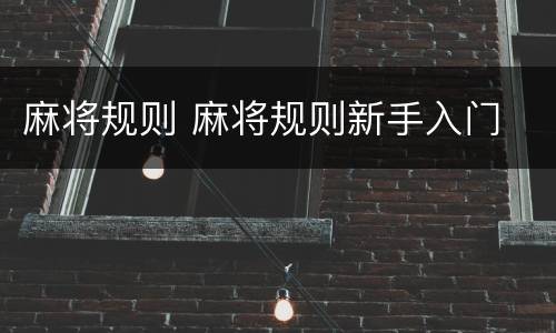 麻将规则 麻将规则新手入门