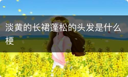 淡黄的长裙蓬松的头发是什么梗