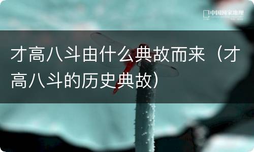 才高八斗由什么典故而来（才高八斗的历史典故）