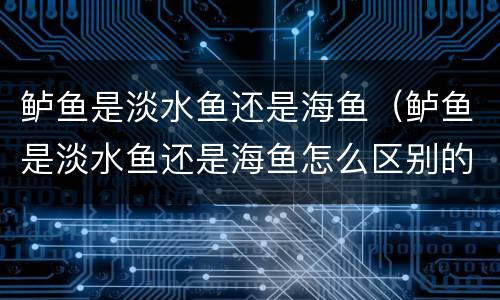 鲈鱼是淡水鱼还是海鱼（鲈鱼是淡水鱼还是海鱼怎么区别的图片）