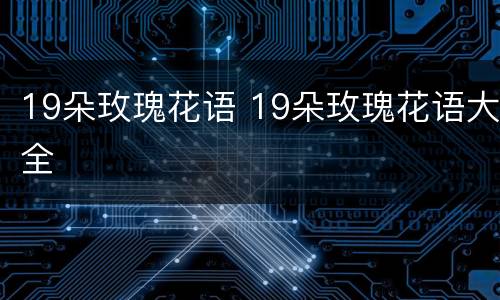 19朵玫瑰花语 19朵玫瑰花语大全