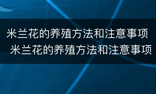 米兰花的养殖方法和注意事项 米兰花的养殖方法和注意事项 盆栽巴西木