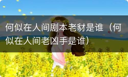 何似在人间剧本老豺是谁（何似在人间老凶手是谁）