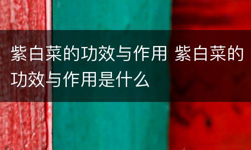 紫白菜的功效与作用 紫白菜的功效与作用是什么
