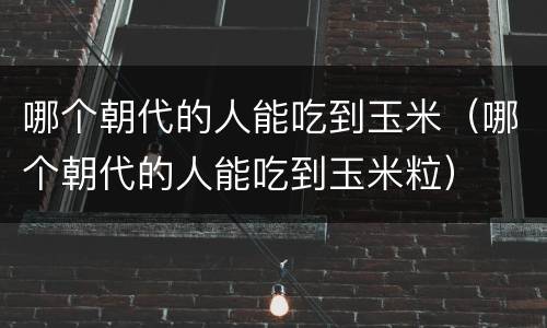 哪个朝代的人能吃到玉米（哪个朝代的人能吃到玉米粒）