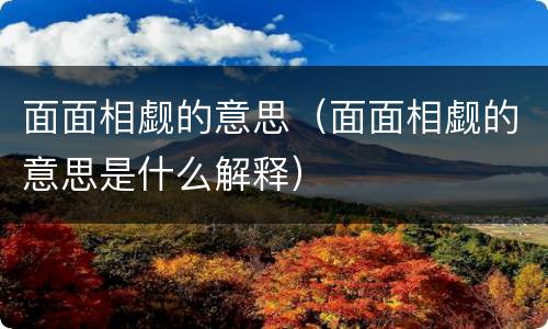 面面相觑的意思（面面相觑的意思是什么解释）