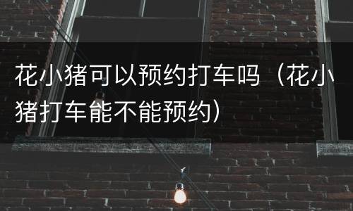 花小猪可以预约打车吗（花小猪打车能不能预约）