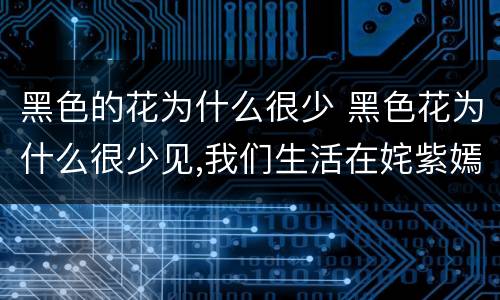 黑色的花为什么很少 黑色花为什么很少见,我们生活在姹紫嫣红