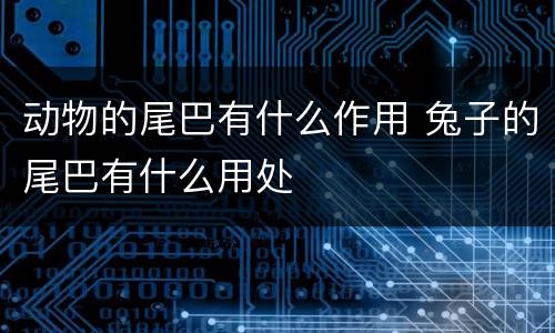 动物的尾巴有什么作用 兔子的尾巴有什么用处